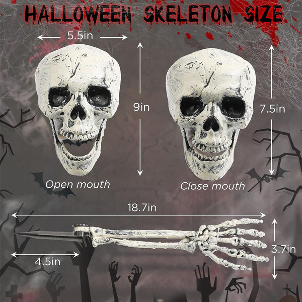 LED Lights 3pc Halloween Skull Yard Decoration