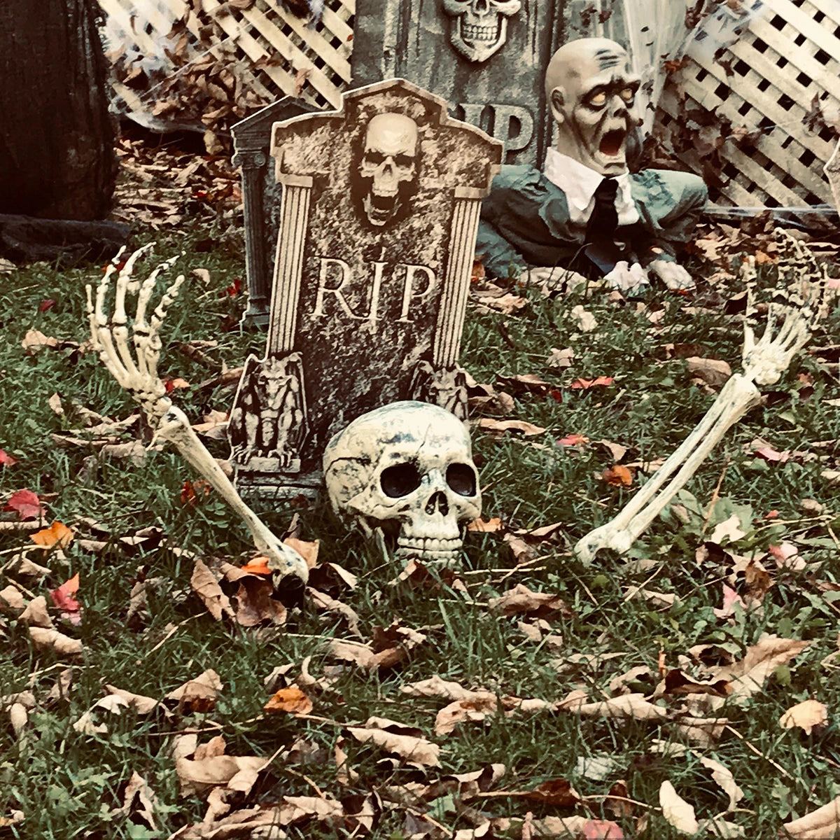 5pc Skeleton Stakes Halloween Decoration
