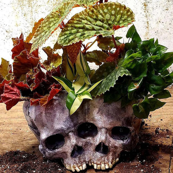 Skull Planter Flower Pot