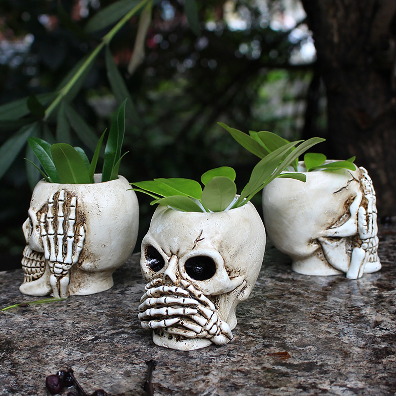 3Pcs Skull Head Planter Pot