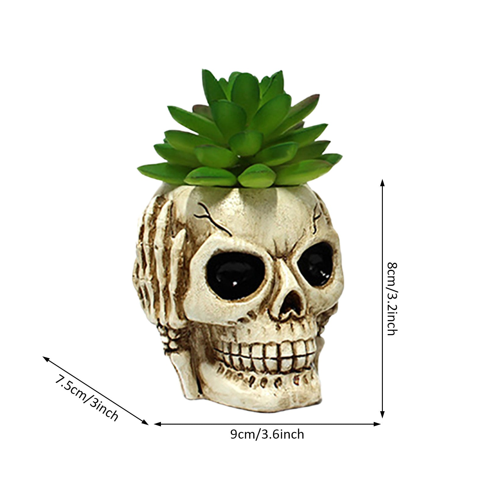 3Pcs Skull Head Planter Pot
