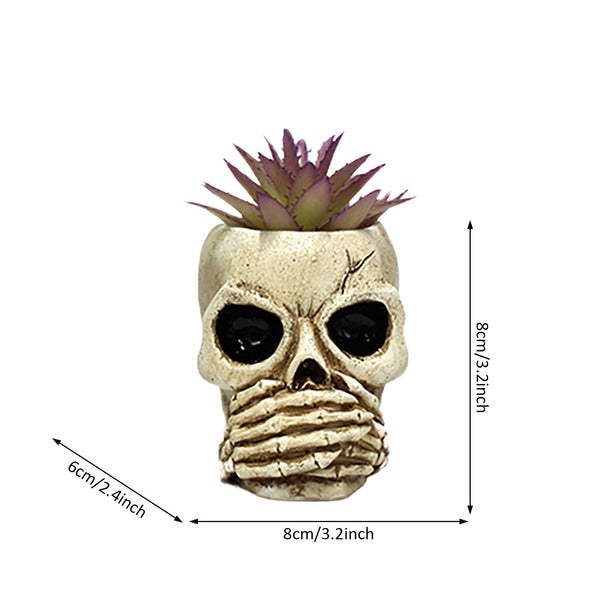 3Pcs Skull Head Planter Pot
