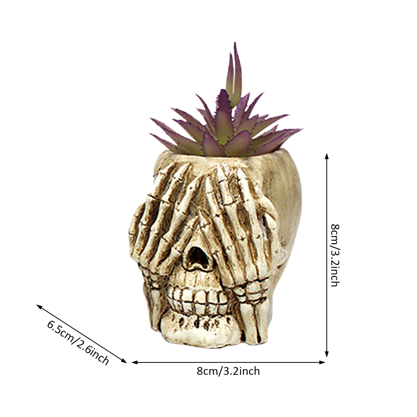 3Pcs Skull Head Planter Pot
