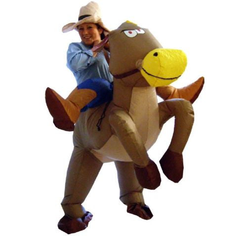 Halloween Inflatable Variety Costumes